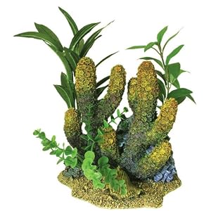 Exotic Environments Multi-Color Branch Coral with Plants Aquarium Ornament