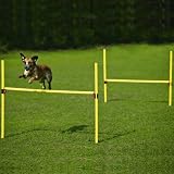 Eigenschaften Schecker  / AGILITY Hürden Set