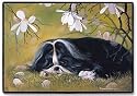 Doormat - D23 Shih Tzu - 18" x 27" Indoor/Outdoor Designer Mat