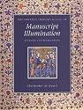 The British Library Guide to Manuscript Illumination: History and Techniques (British Library Guides)