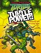 Teenage Mutant Ninja Turtles - Turtle Power!: Colouring and Drawing Book