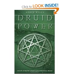 Druid Power: Celtic Faerie Craft & Elemental Magic