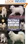 Guide to Owning an American Eskimo (Re Dog)