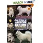 Guide to Owning an American Eskimo (Re Dog)