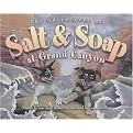 The Adventures of Salt and Soap at Grand Canyon (Paperback)