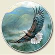 Eagle, Mountain Patrol Auto Coaster, Single Coaster for Your Car