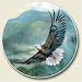 Kitchen & Housewares : Eagle, Mountain Patrol Auto Coaster, Single Coaster for Your Car