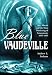 Book Blue Vaudeville: Sex, Morals and the Mass Marketing of Amusement, 1895-1915