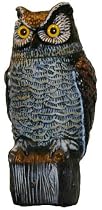 Easy Gardener 8021 Garden Defense Electronic Owl - Sound And Motion Sensored