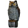 Easy Gardener 8021 Garden Defense Electronic Owl - Sound And Motion Sensored