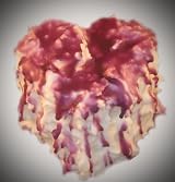 Huckleberry Heart