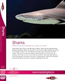 : Sharks - Human & Biological Science - What is the most dangerous shark on earth?