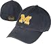 Michigan Wolverines Navy Franchise Fitted Hat