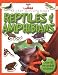 Reptiles and Amphibians (Little & Large)