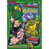 Teenage Mutant Ninja Turtles - Season 3.7: Hun on the Run ~ Michael Sinterniklaas