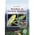 Reptiles of Central America