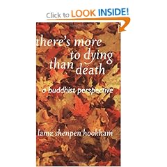 There's More to Dying than Death: A Buddhist Perspective
