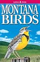 Montana Birds