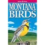 Montana Birds