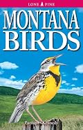 Montana Birds