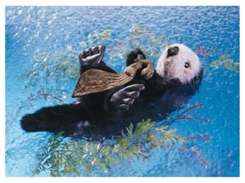��å� �ϥ�ɥѥڥå�