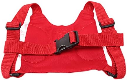 GreatGiving(TM) Angle Wings Kids Baby Toddler Walking Safety Harness Assistant with Leash (red)