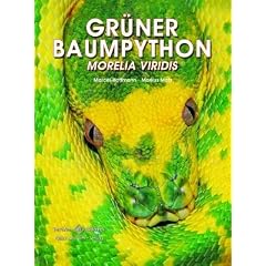 Gr�ner Baumpython: Morelia viridis