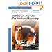 Beyond Oil and Gas: The Methanol Economy