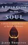 A Field Guide to the Soul: A Down-to-Earth Handbook of Spiritual Practice