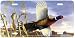 October Flush - Ducks - Wildlife Art Print - License Plate Tag By Hautman Brothers From Airstrike