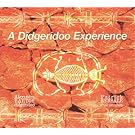 A Didjeridoo Experience