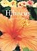 Book Hibiscus