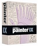Painter IX