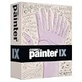 Painter IX