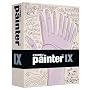 Painter IX