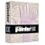 Painter IX