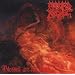 Death Metal...meine Favorites!