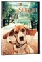 Shiloh