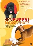 New Puppy!  Now What?