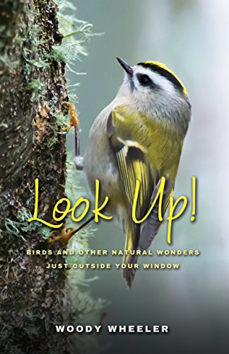 look up birds and other natural wonders just outside your window