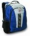 Swiss Gear SA9119 2 Compartment Backpack (Blue)