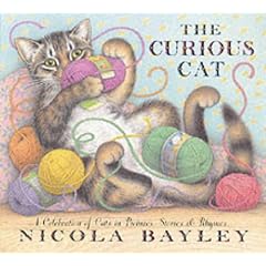 The Curious Cat