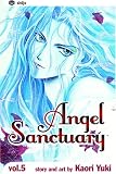 Angel Sanctuary, Vol. 5