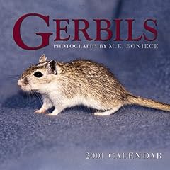 Gerbils 2001 Calendar