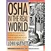 OSHA in the Real World : How to Maintain Workplace Safety While Keeping Your Competitive Edge (Taking Control Series) (Taking Control Series)