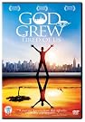 God Grew Tired...
