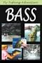 Fly Fishing Adventure: Bass