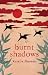 Burnt Shadows