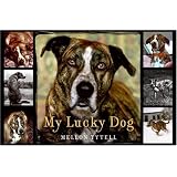 MyLuckyDog
