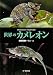 増田 戻樹: 世界のカメレオン